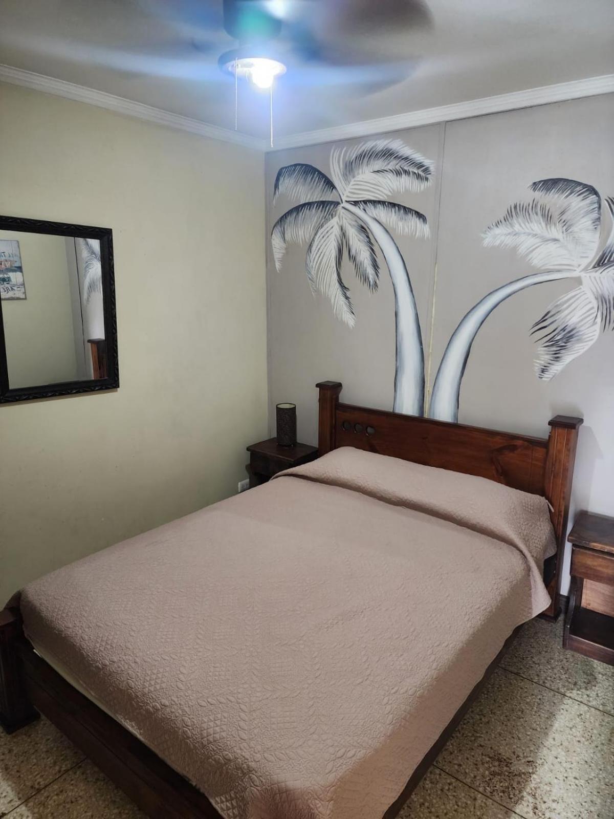 Costa Rica Backpackers Hostel Сан Хосе Екстериор снимка