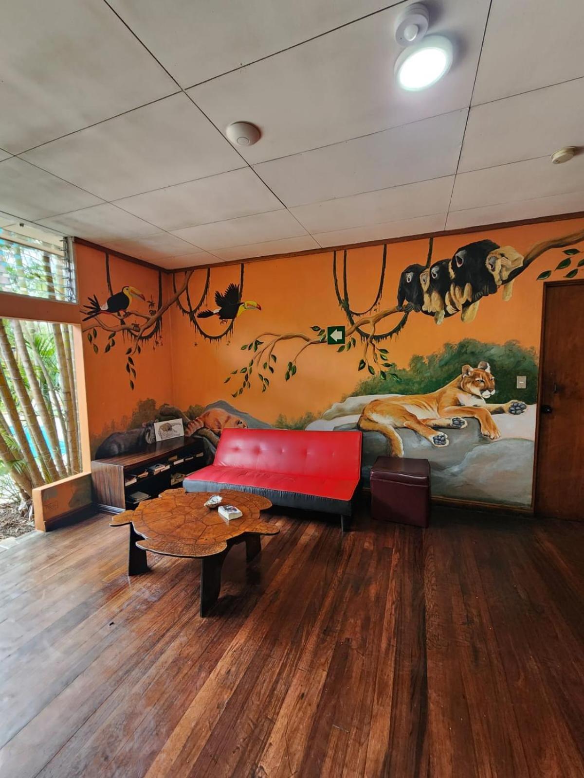 Costa Rica Backpackers Hostel Сан Хосе Екстериор снимка