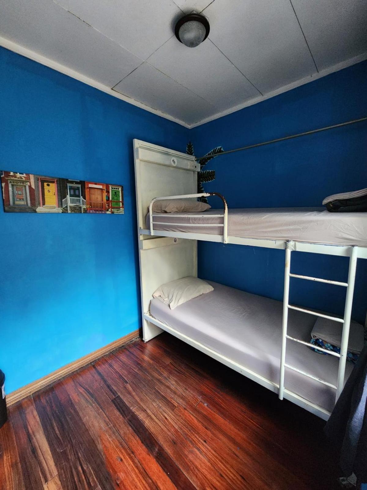 Costa Rica Backpackers Hostel Сан Хосе Екстериор снимка