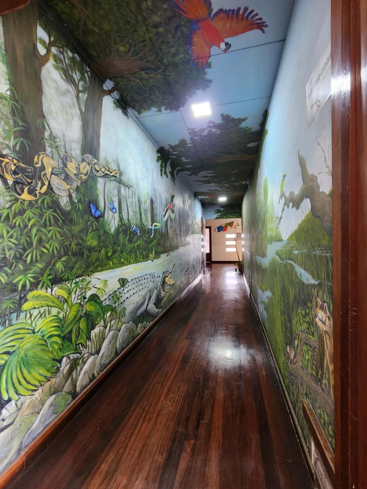 Costa Rica Backpackers Hostel Сан Хосе Екстериор снимка